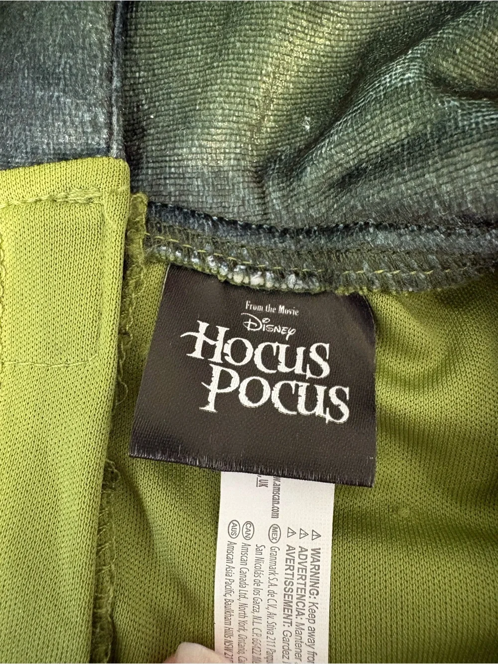 Hocus Pocus Green and Purple Witch Costume Dress